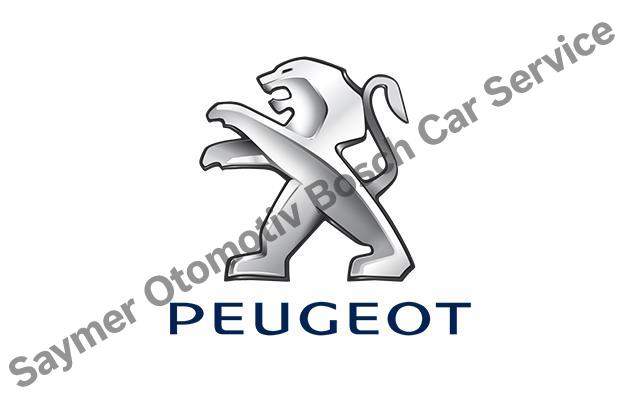 Sakarya Peugeot Servisi 